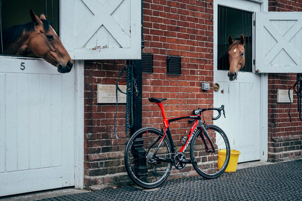 Pinarello’s latest thoroughbred
