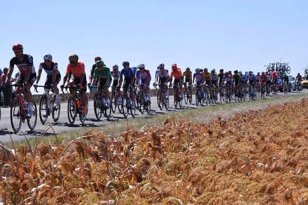 Tour de France stage 13