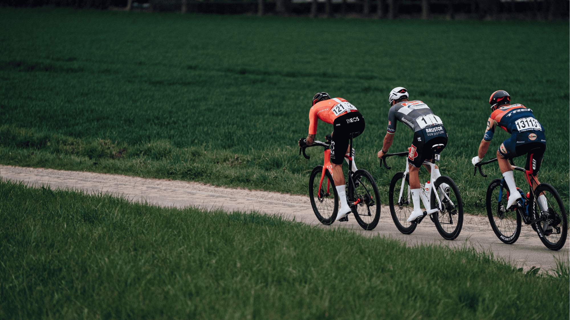 Alpecin and UAE delight but Visma and Red Bull struggle - rating the teams' performances at the Spring Classics