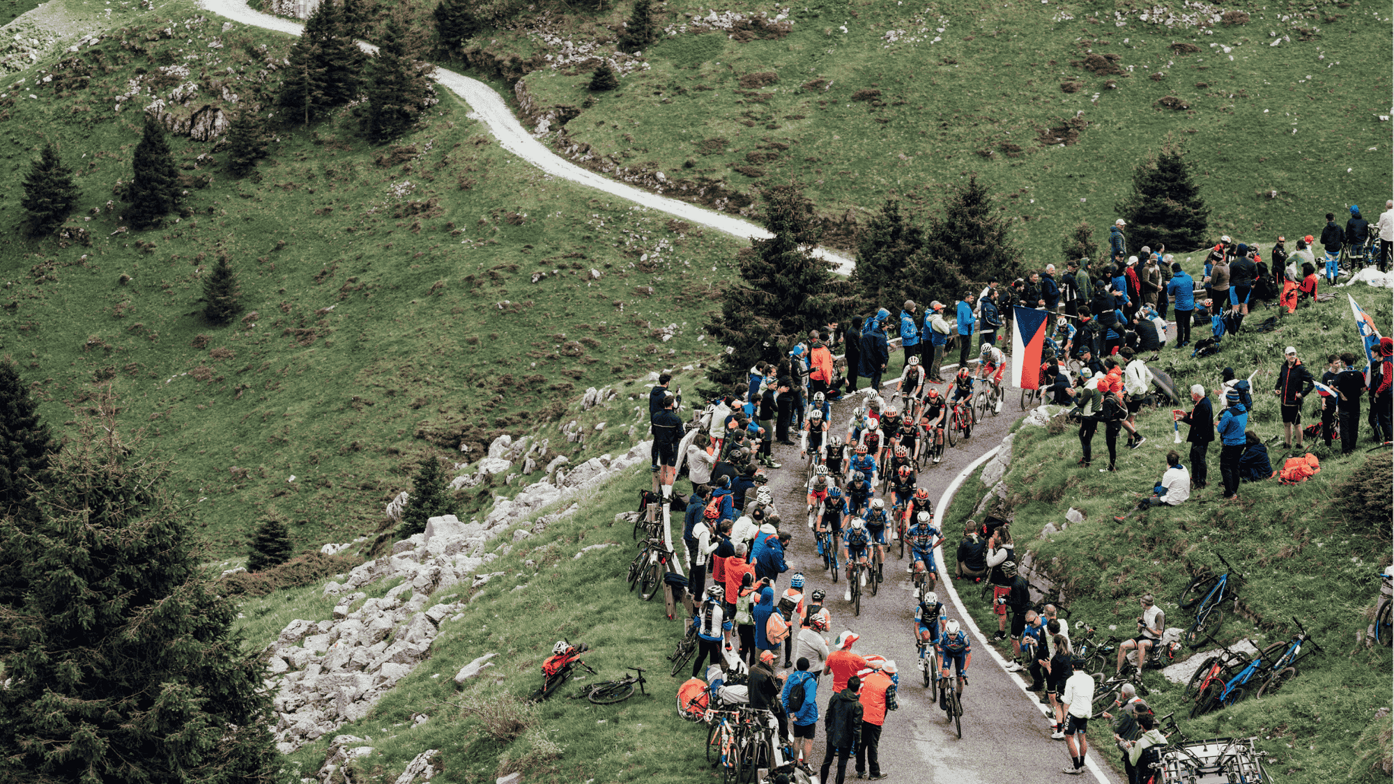 Peloton at the 2024 Giro d'Italia
