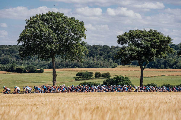 Tour de France 2022 stage six preview – the longest stage