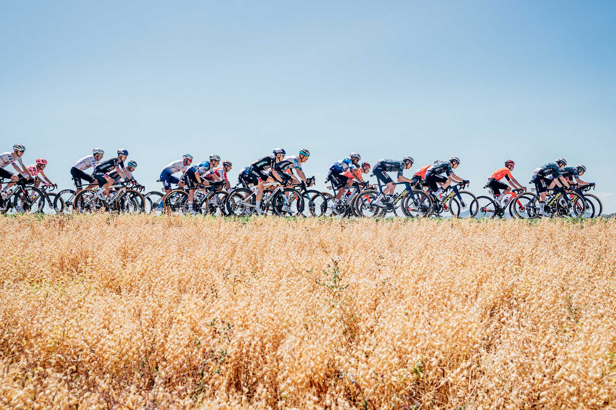The peloton