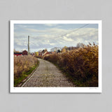 Roubaix 09 - Art Print - Michael Blann